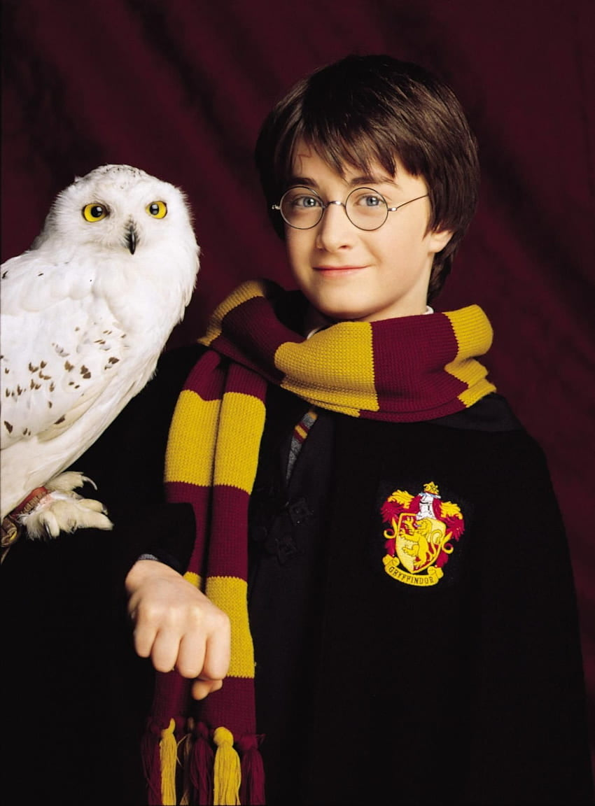 🦉 Hedwig the Owl *Harry Potter Series🏰🔮⚡️🧙♂️