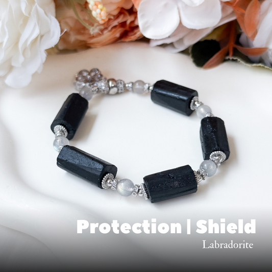 Protection X Shield | Protection in Style